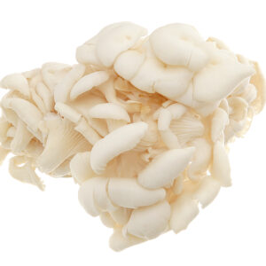 Rau củ tươi sạch organic