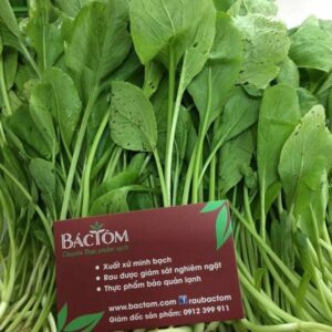 Rau củ tươi sạch organic