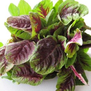 Rau củ tươi sạch organic